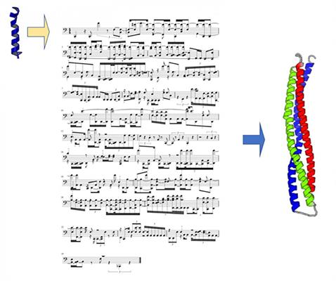 Using musical scores to code the structure and folding of proteins composed of amino acids, each of which vibrates with a unique sound