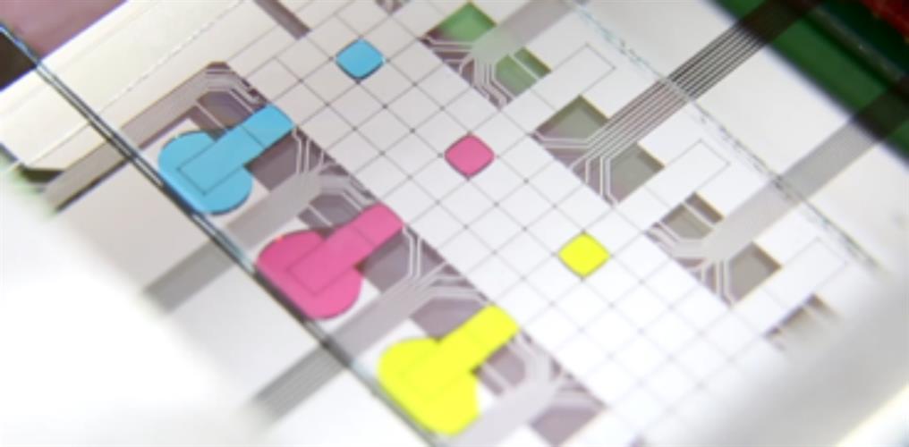 A microfluidic chip with droplets of liquid dyed in different colors for easier visualization.