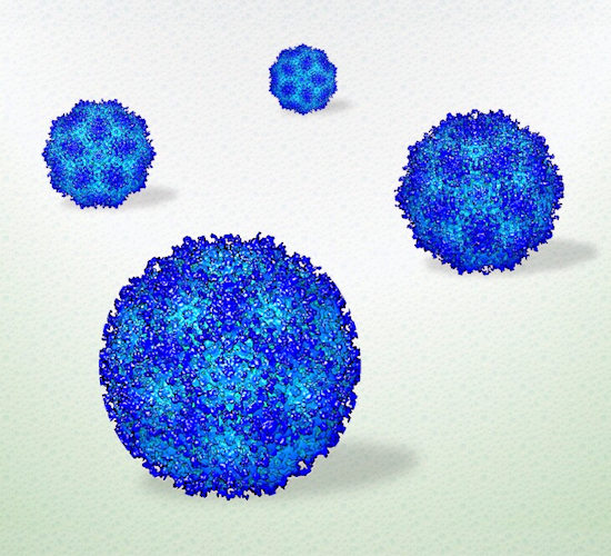 High-resolution view of viruses in a liquid environment.