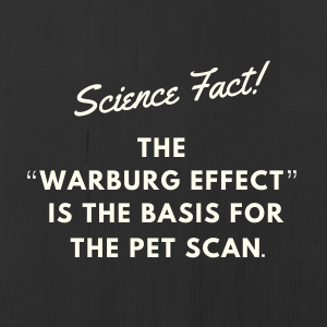 Science Fact: The Warburg effect is the basis for the PET scan