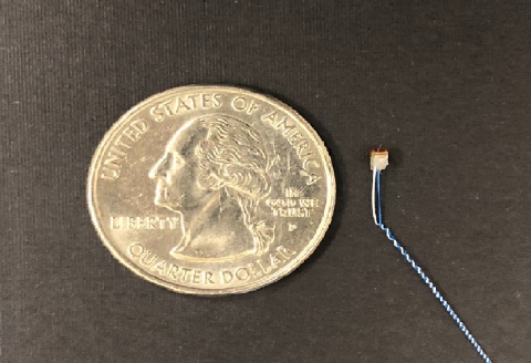 Image of the first chronic vagus nerve mouse implant