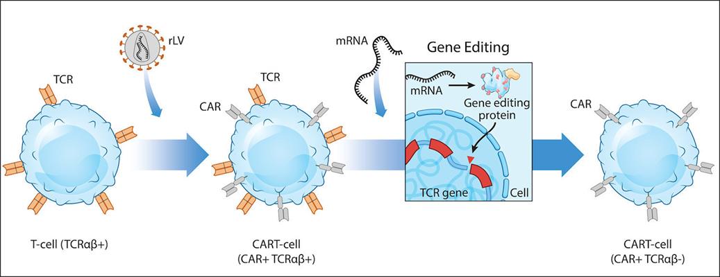 Factor Bioscience GA-15 mRNA vectorization.