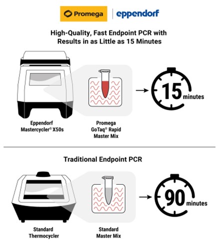 Promega GoTaq rapid master mix paired with the Eppendorf Mastercycler X50s thermal cycler enable labs performing end point PCR to amplify samples in as little as 15 minutes.