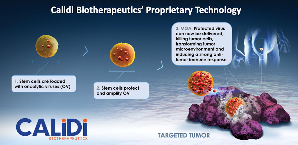 Calidi Biotherapeutics offers a novel allogeneic stem cell delivery platform to target oncolytic viruses.