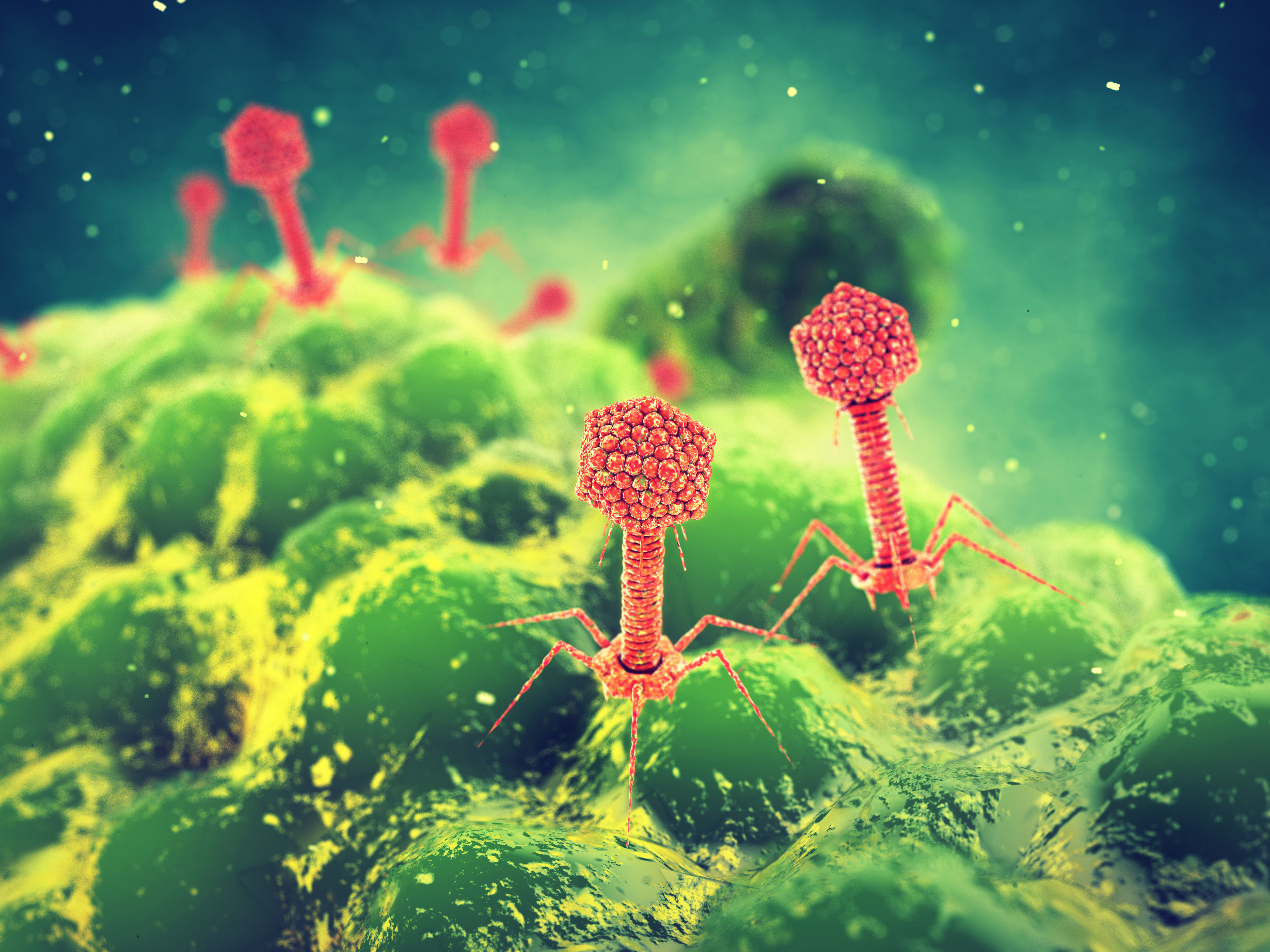 Атакующие клетки. Бактериофаги- Пожиратели бактерий. Вирус бактериофаг. Бактериофаг и бактерия. Вирусы бактерий бактериофаги.