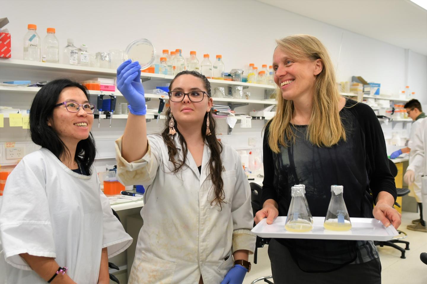 Janni Peterson, PhD, and colleagues looking at petri dish
