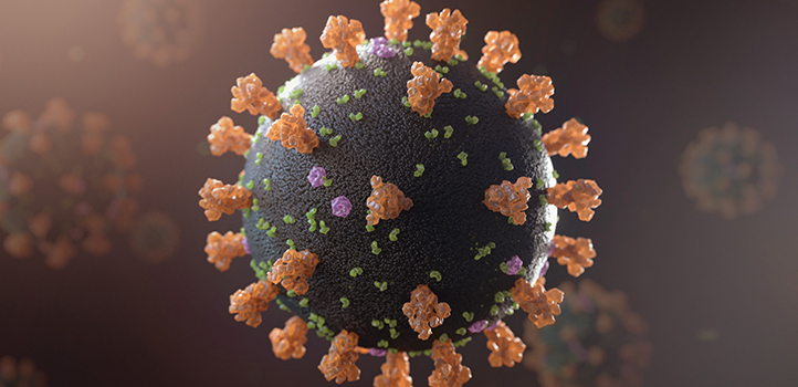 This artistic representation of a SARS-CoV-2 virus
