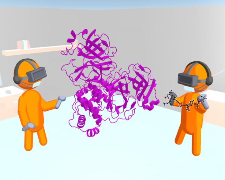 A cartoon showing iMD-VR being used to model how a viral protein binds to the SARS-CoV-2 main protease.