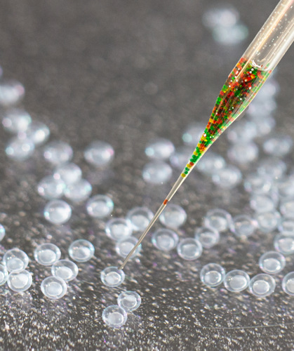 A glass needle filled with MIC-Drops (colored droplets) is used to inject fertilized zebrafish eggs (translucent spheres).