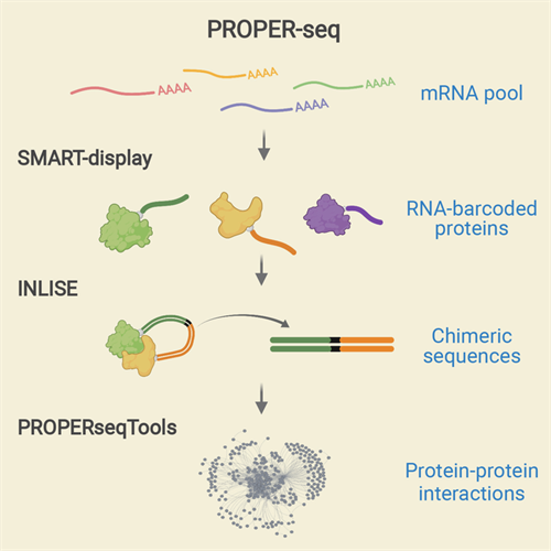 A graphical abstract of the three tools that together are known as PROPER-seq