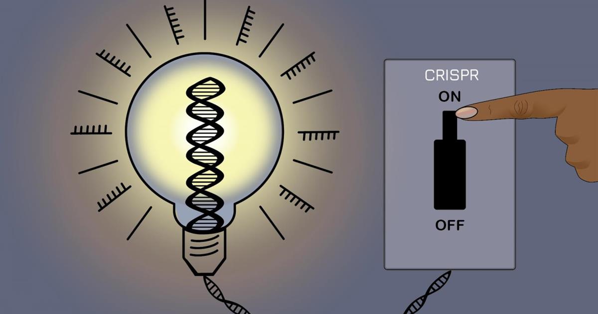 A CRISPR on-off switch for genes controls expression without altering DNA - The Science Board